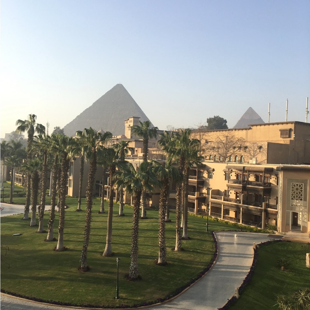 Meet your Posher, Genevieve